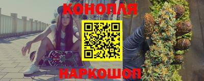 крисы Бийск