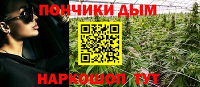 прущие грибы Беслан