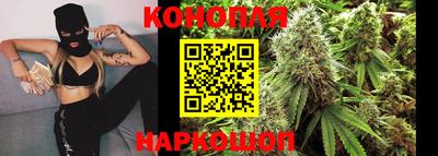 прущие грибы Беслан