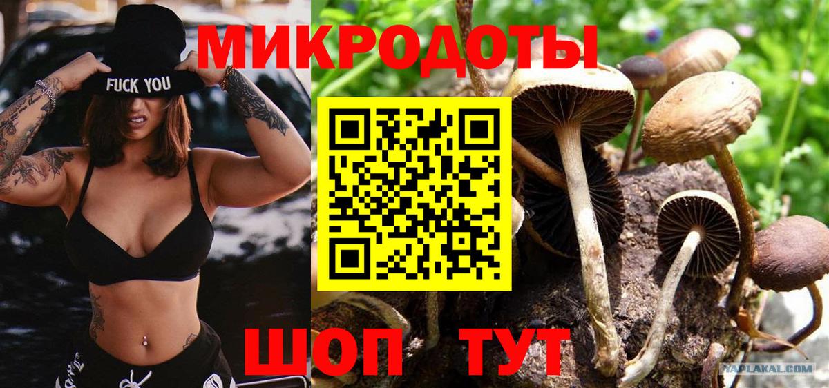 Галлюциногенные грибы Cubensis Когалым
