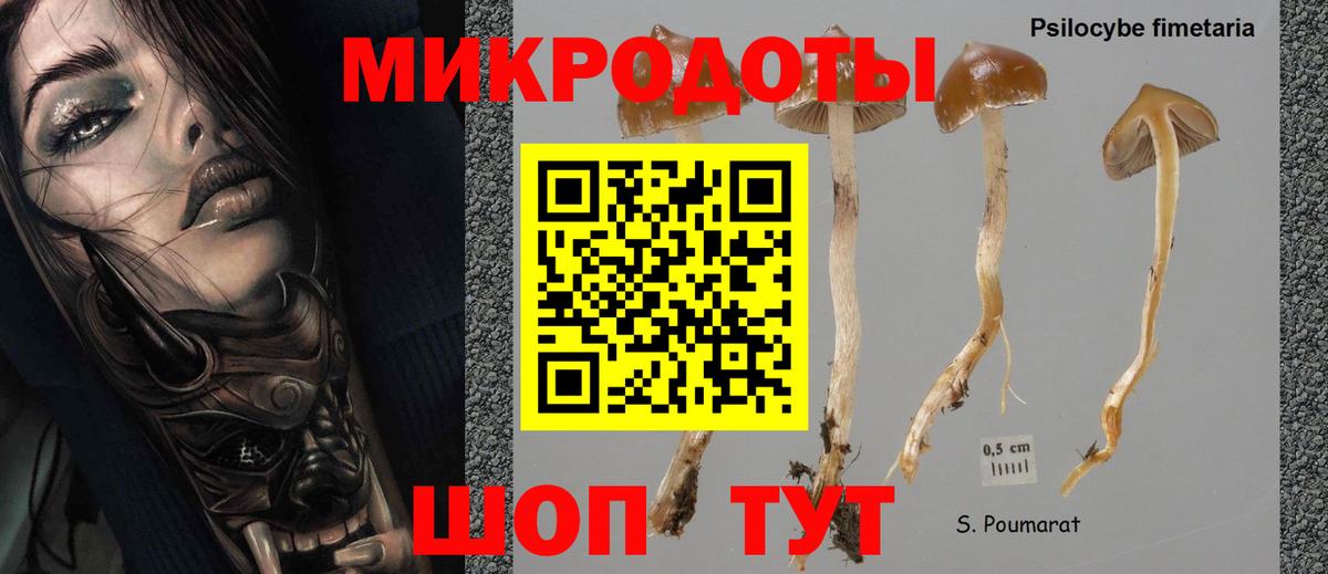 Когалым  Псилоцибиновые грибы Magic Shrooms  Псилоцибиновые грибы ЛСД  Вход с VPN 